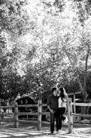 071015_DURAN_0158