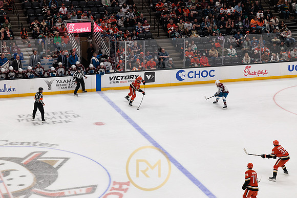 041325_ANAHEIM_DUCKS_370