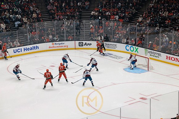 041325_ANAHEIM_DUCKS_326