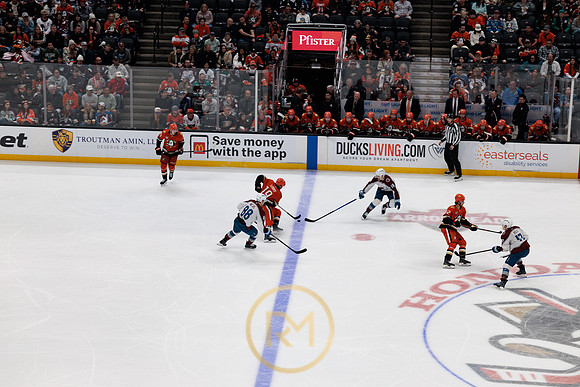 041325_ANAHEIM_DUCKS_385