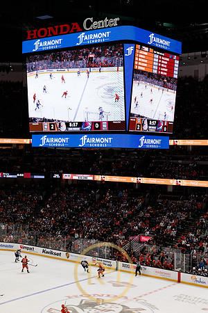 041325_ANAHEIM_DUCKS_244