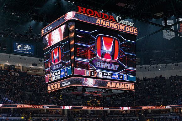 031125_ANAHEIM_DUCKS_1222