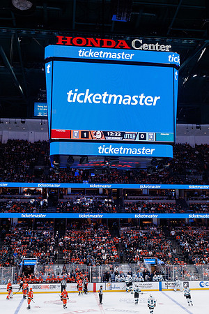 101624_ANAHEIM_DUCKS_0431