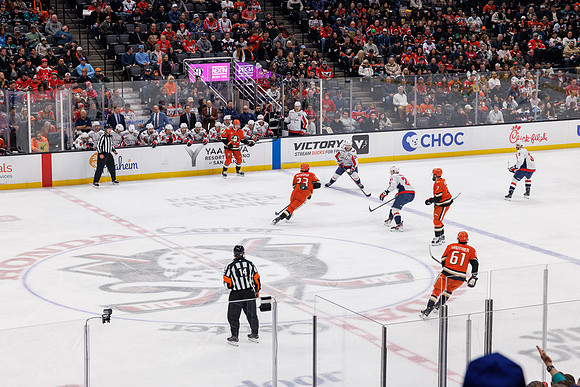 031125_ANAHEIM_DUCKS_1022