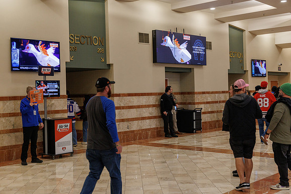 031125_ANAHEIM_DUCKS_0894