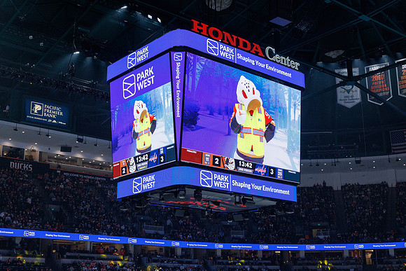 031125_ANAHEIM_DUCKS_1241