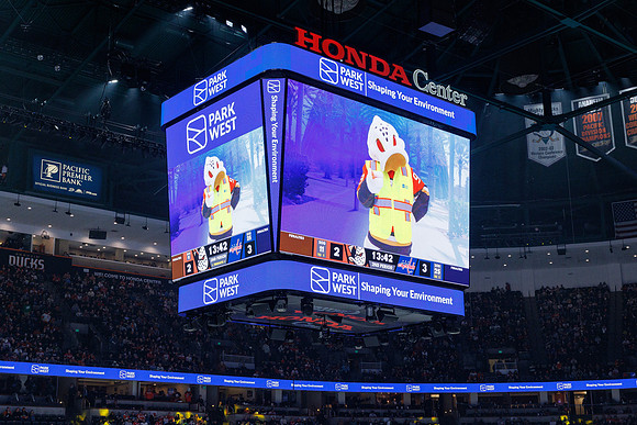 031125_ANAHEIM_DUCKS_1242