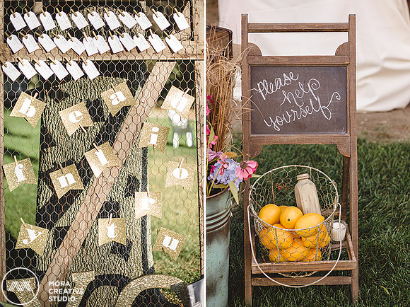 Brookside_Equestrian_Wedding_Photographer_GV_91789_025