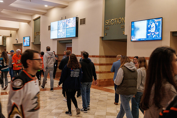 101624_ANAHEIM_DUCKS_0296