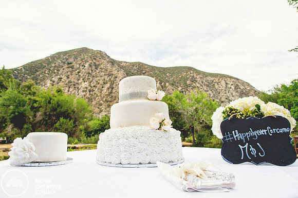 WEDDING_062715_0415