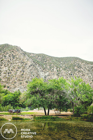 WEDDING_062715_0417