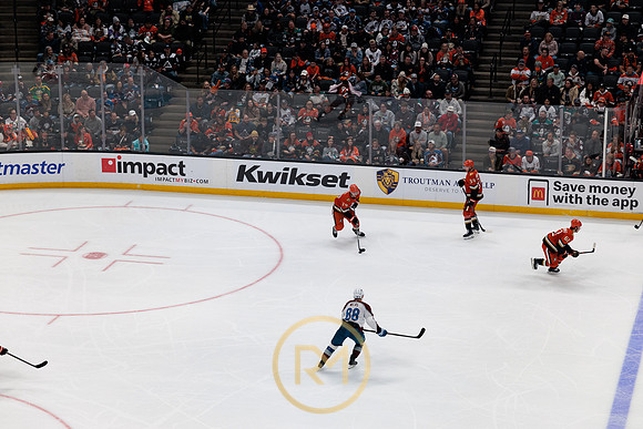 041325_ANAHEIM_DUCKS_384