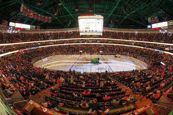 101624_ANAHEIM_DUCKS_1031