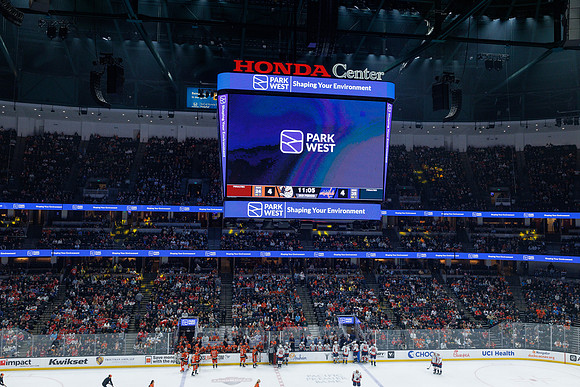 031125_ANAHEIM_DUCKS_1562
