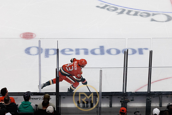 041325_ANAHEIM_DUCKS_387