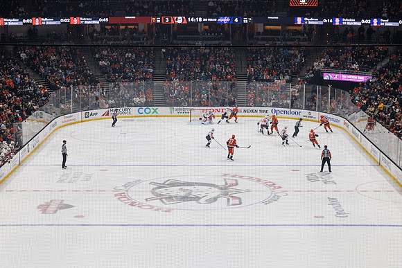031125_ANAHEIM_DUCKS_1538