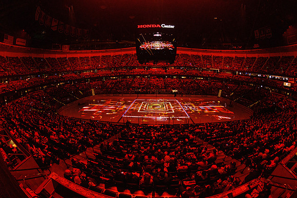 101624_ANAHEIM_DUCKS_0841