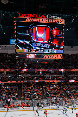 101624_ANAHEIM_DUCKS_0361