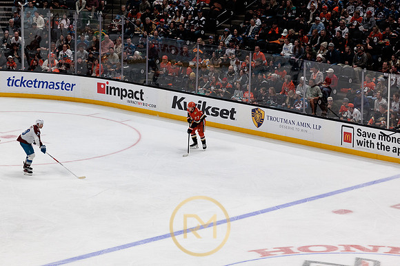 041325_ANAHEIM_DUCKS_225