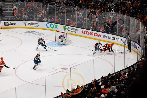 041325_ANAHEIM_DUCKS_371