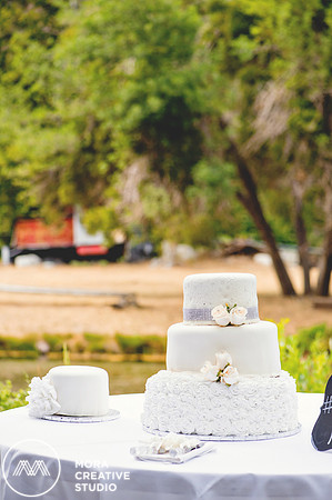 WEDDING_062715_0384