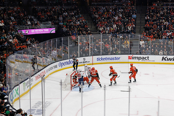 031125_ANAHEIM_DUCKS_1235