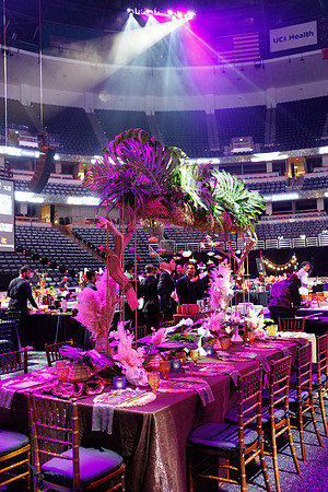 020625_ANAHEIM_DUCKS_163