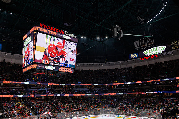 031125_ANAHEIM_DUCKS_1021