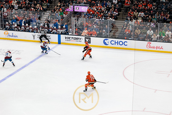 041325_ANAHEIM_DUCKS_205