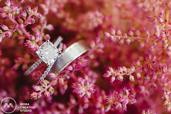 Brookside_Equestrian_Wedding_Photographer_GV_91789_003