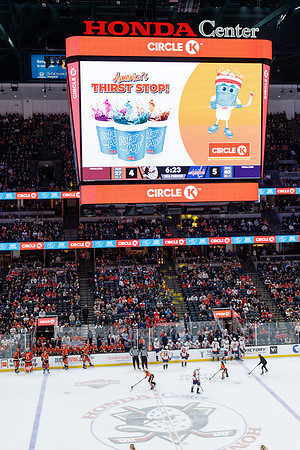 031125_ANAHEIM_DUCKS_1599