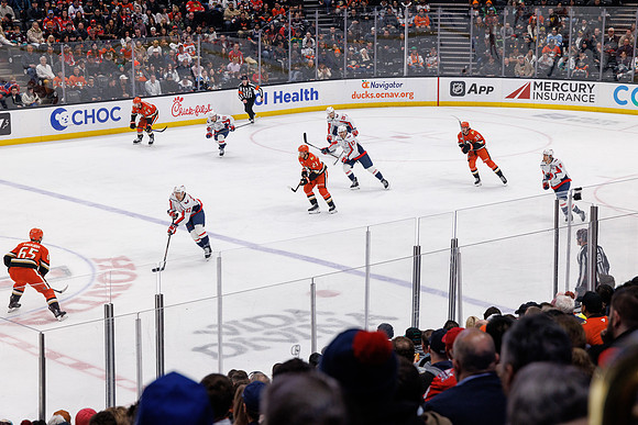 031125_ANAHEIM_DUCKS_1028