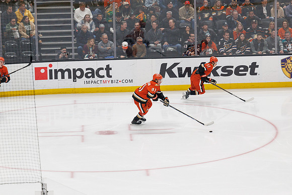 031125_ANAHEIM_DUCKS_1214