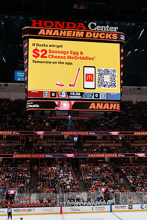 101624_ANAHEIM_DUCKS_0376