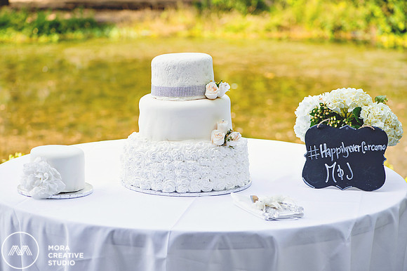 WEDDING_062715_0368