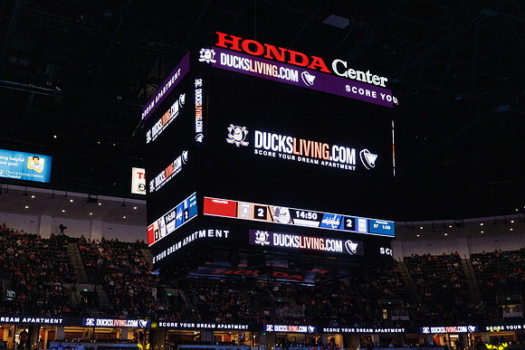 031125_ANAHEIM_DUCKS_1177