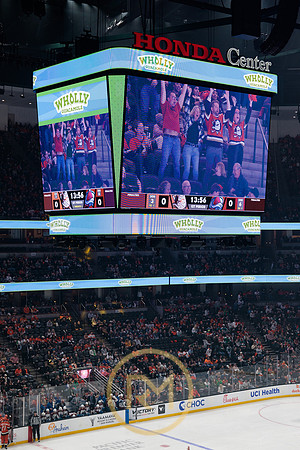 041325_ANAHEIM_DUCKS_090