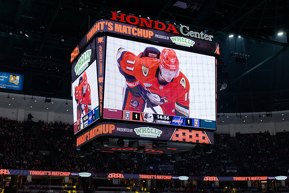 031125_ANAHEIM_DUCKS_1001
