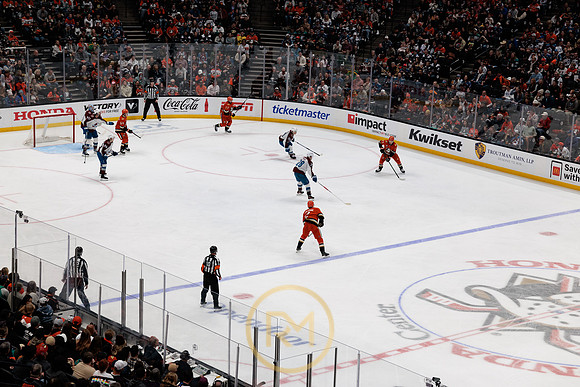 041325_ANAHEIM_DUCKS_224