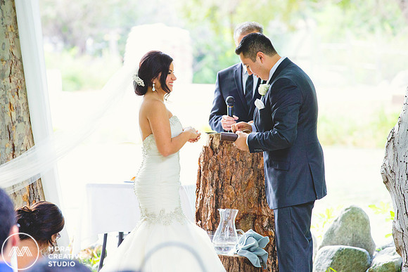 WEDDING_062715_0307