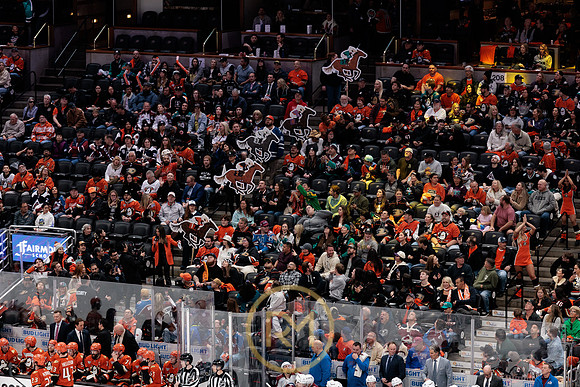 041325_ANAHEIM_DUCKS_251
