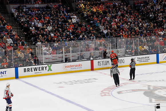 031125_ANAHEIM_DUCKS_1268
