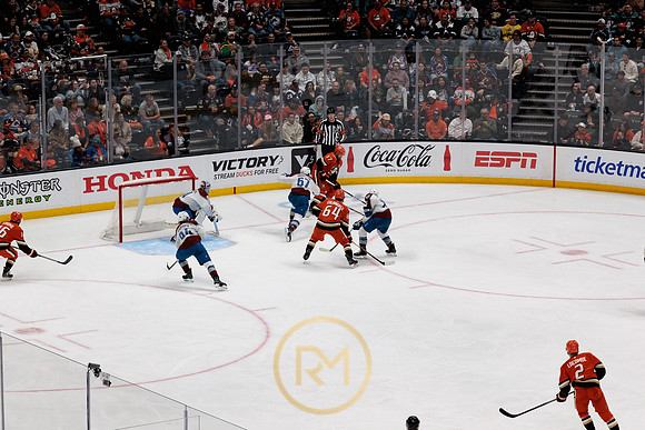 041325_ANAHEIM_DUCKS_226
