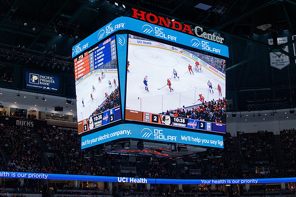 031125_ANAHEIM_DUCKS_1264
