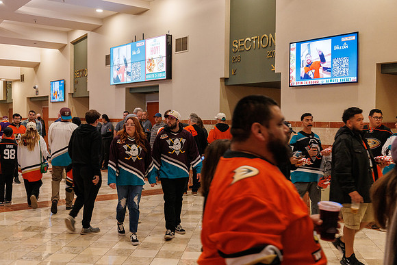 101624_ANAHEIM_DUCKS_0248