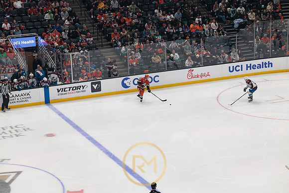 041325_ANAHEIM_DUCKS_332