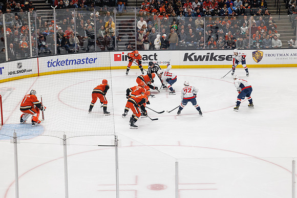 031125_ANAHEIM_DUCKS_1219