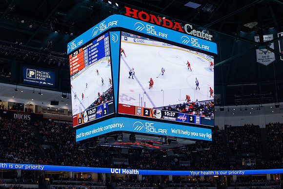031125_ANAHEIM_DUCKS_1265