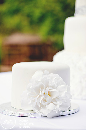 WEDDING_062715_0392