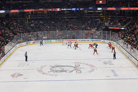 031125_ANAHEIM_DUCKS_1537